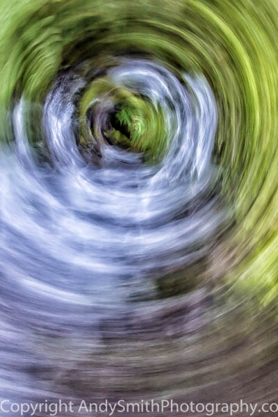 Swirling Stream in the Forest
